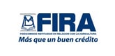 Inicio